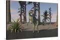 Stretched Canvas Print