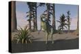 Stretched Canvas Print