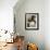 Dim Sum Preparation in a Restaurant Kitchen in Hong Kong, China, Asia-Gavin Hellier-Framed Photographic Print displayed on a wall