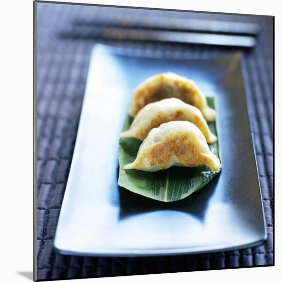 Dim Sum-David Munns-Mounted Premium Photographic Print