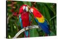 Stretched Canvas Print