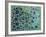 Dimension 16-Hilary Winfield-Framed Giclee Print