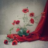 Red-Dimitar Lazarov-Photographic Print