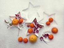 Flowers and cherries-Dimitar Lazarov --Photographic Print