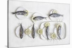 Still Life With Fish-Dimitar Lazarov-Stretched Canvas