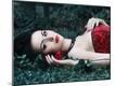 Premium Photographic Print