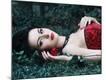 Premium Photographic Print
