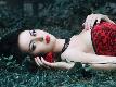 Premium Photographic Print