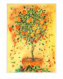 Orange Tree-Dina Cuthbertson-Art Print