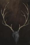 Buck-Dina Dargo-Framed Stretched Canvas