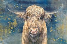 Highland Bull-Dina Peregojina-Framed Art Print