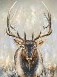 Imperial Bull Elk-Dina Perejogina-Art Print