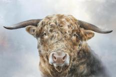 Herdwick Sheep-Dina Perejogina-Art Print