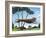 Dinah in Glen Ellen-Mark Ulriksen-Framed Art Print