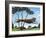 Dinah in Glen Ellen-Mark Ulriksen-Framed Art Print