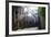 Dinan, Jerzual Street-Philippe Manguin-Framed Photographic Print