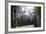 Dinan, Jerzual Street-Philippe Manguin-Framed Photographic Print