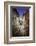 Dinan , Jerzual street-Philippe Manguin-Framed Photographic Print