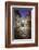 Dinan , Jerzual street-Philippe Manguin-Framed Photographic Print