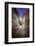 Dinan , Jerzual street-Philippe Manguin-Framed Photographic Print