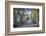 Dinan, the Jerzual Street-Philippe Manguin-Framed Photographic Print