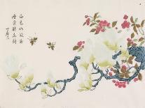 Magnolia, Prunus, Bees-Ding Yingzong-Mounted Art Print