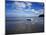 Dinghy on the Beach, Auckland, New Zealand-null-Mounted Photographic Print
