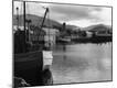 Photographic Print