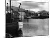 Photographic Print