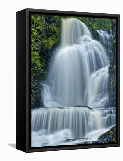 Dingman's Falls and Forest, Dingman's Ferry, Pennsylvania, Usa-Jay O'brien-Framed Premier Image Canvas