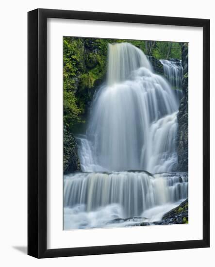 Dingman's Falls and Forest, Dingman's Ferry, Pennsylvania, Usa-Jay O'brien-Framed Photographic Print