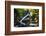 Dingmans Fall in Summer, Pennsylvania-George Oze-Framed Photographic Print