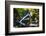 Dingmans Fall in Summer, Pennsylvania-George Oze-Framed Photographic Print