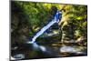 Dingmans Fall in Summer, Pennsylvania-George Oze-Mounted Photographic Print