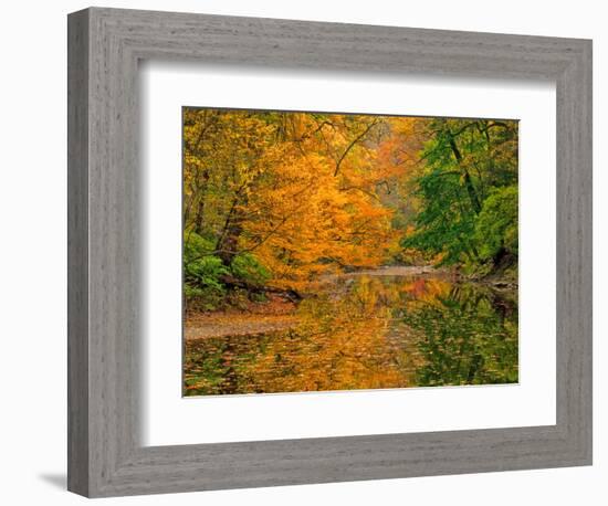 Dingmans Ferry, Pennsylvania, USA-Jay O'brien-Framed Photographic Print