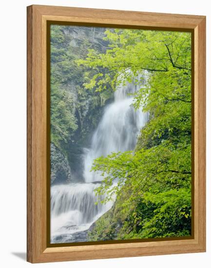 Dingmans Ferry, Philadelphia, Pennsylvania, USA-Jay O'brien-Framed Premier Image Canvas