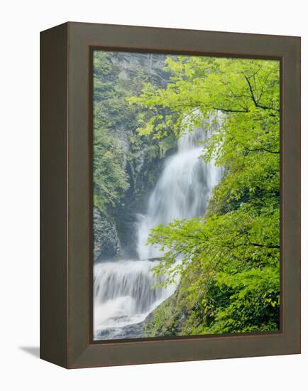 Dingmans Ferry, Philadelphia, Pennsylvania, USA-Jay O'brien-Framed Premier Image Canvas