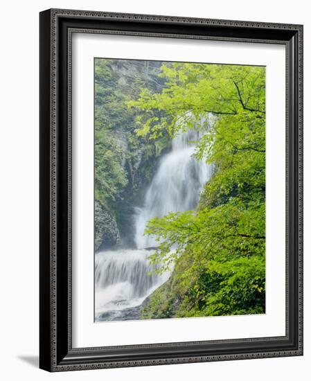 Dingmans Ferry, Philadelphia, Pennsylvania, USA-Jay O'brien-Framed Photographic Print