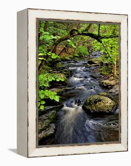 Dingmans Ferry, Philadelphia, Pennsylvania, USA-Jay O'brien-Framed Premier Image Canvas