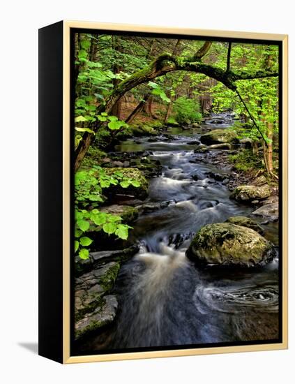 Dingmans Ferry, Philadelphia, Pennsylvania, USA-Jay O'brien-Framed Premier Image Canvas