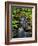 Dingmans Ferry, Philadelphia, Pennsylvania, USA-Jay O'brien-Framed Photographic Print