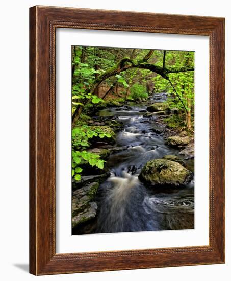 Dingmans Ferry, Philadelphia, Pennsylvania, USA-Jay O'brien-Framed Photographic Print