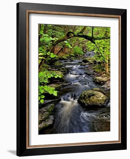 Dingmans Ferry, Philadelphia, Pennsylvania, USA-Jay O'brien-Framed Photographic Print