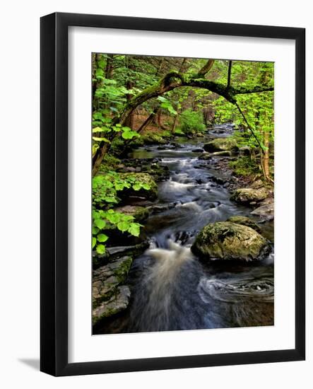 Dingmans Ferry, Philadelphia, Pennsylvania, USA-Jay O'brien-Framed Photographic Print