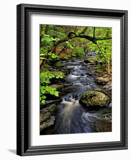 Dingmans Ferry, Philadelphia, Pennsylvania, USA-Jay O'brien-Framed Photographic Print