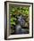 Dingmans Ferry, Philadelphia, Pennsylvania, USA-Jay O'brien-Framed Photographic Print