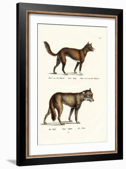 Dingo, 1824-Karl Joseph Brodtmann-Framed Giclee Print