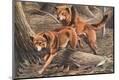 Premium Giclee Print