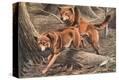 Stretched Canvas Print