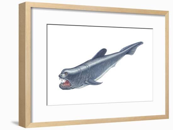 Dinichthys, Fishlike Animal, Fossil, Fishes-Encyclopaedia Britannica-Framed Art Print